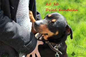 BERTA - Dzień Kundelka