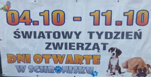 Światowy Tydzień Zwierząt