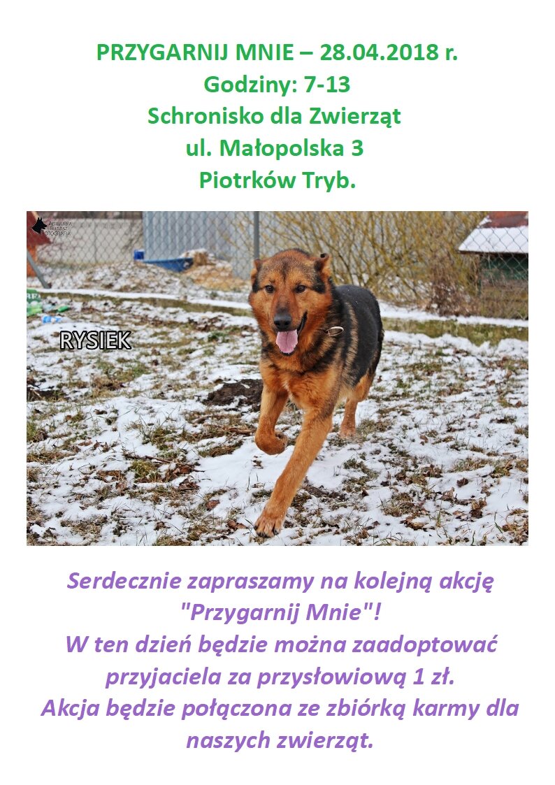 04. 2018 Przygarnij mnie