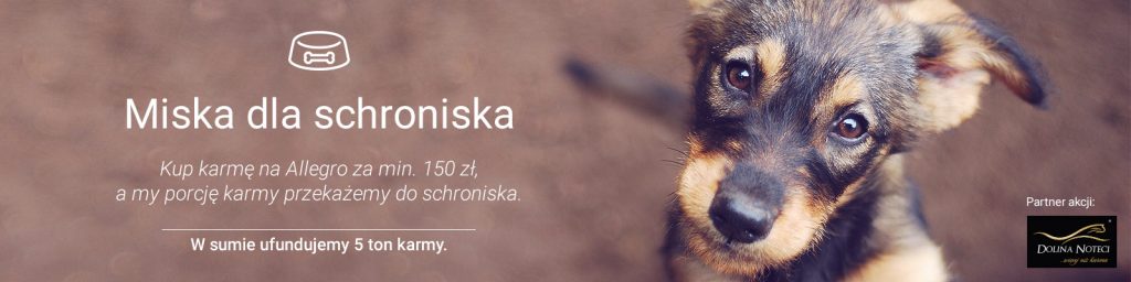 miska dla schroniska